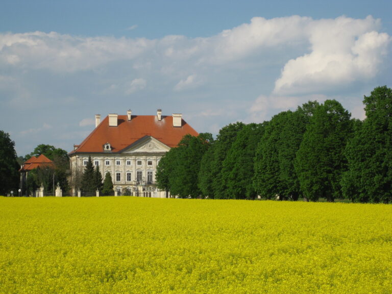 Kultur